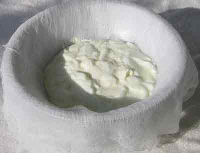 Put yogurt in cheesecloth to drain for greek recipes.