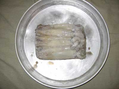 A three pound block of frozen squid.