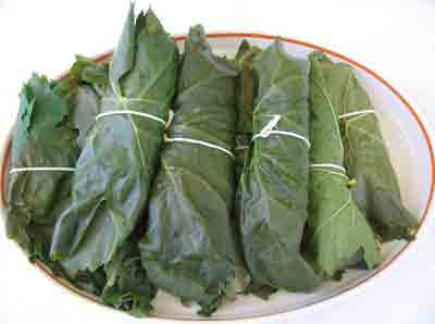 abelofylla yia ntolmades grape leaves for dolmades blanched bundles