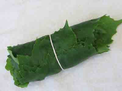 abelofylla yia ntolmades grape leaves for dolmades tied