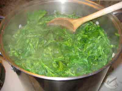 Boiling wild mustard green flower buds for greek recipe vrouves.